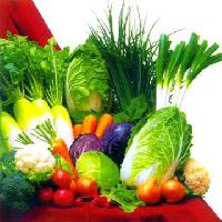 Manufacturers Exporters and Wholesale Suppliers of Fresh Vegetables Jaipur Rajasthan